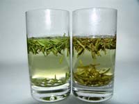 頂尖茶(左)與一般茶(右)泡出茶湯的比較