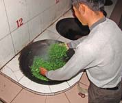 Abtötung der Teeblätter, Zhejiang, China 