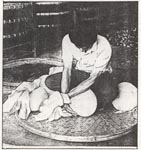 Teebauer beim Wickeln einer Teekugel mit der Hand